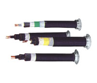 额定电压450-750V及以下控制电缆.jpg 额定电压450-750V及以下控制电缆.jpg